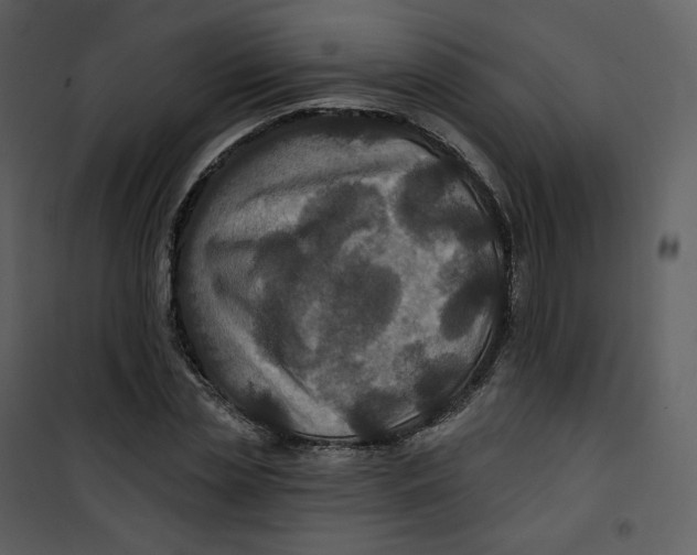 X0000100750829200807171409