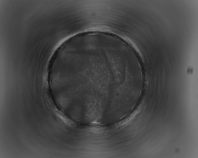 X0000100750830200807171409