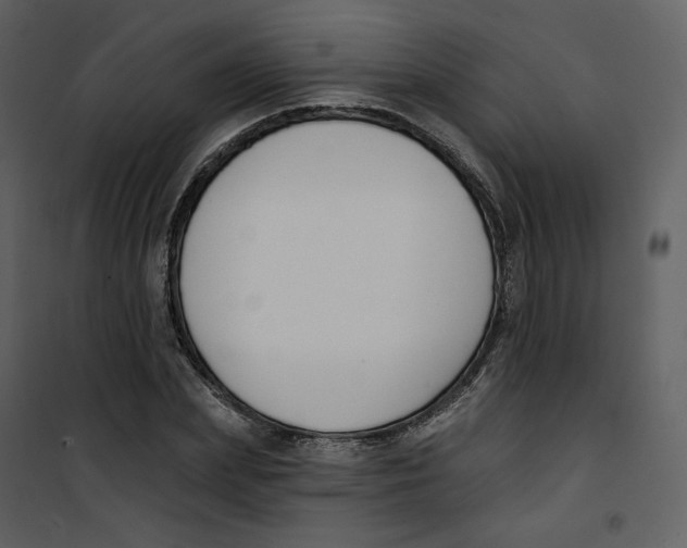 X0000100750831200807171410