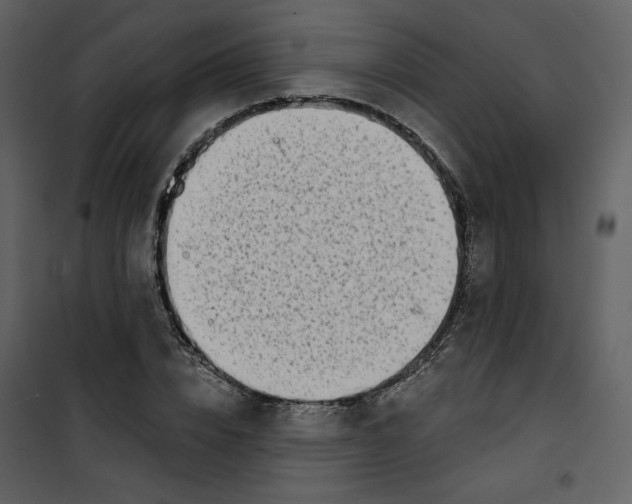 X0000100750832200807171410