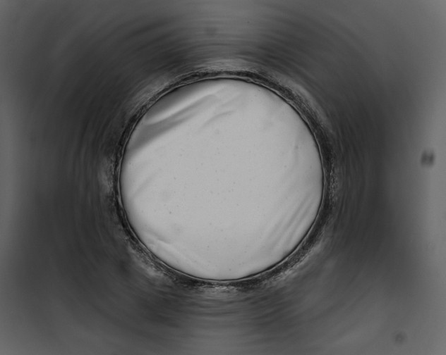 X0000100750833200807171410