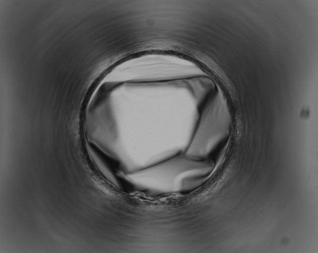 X0000100750834200807171410