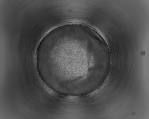 X0000100750835200807171410