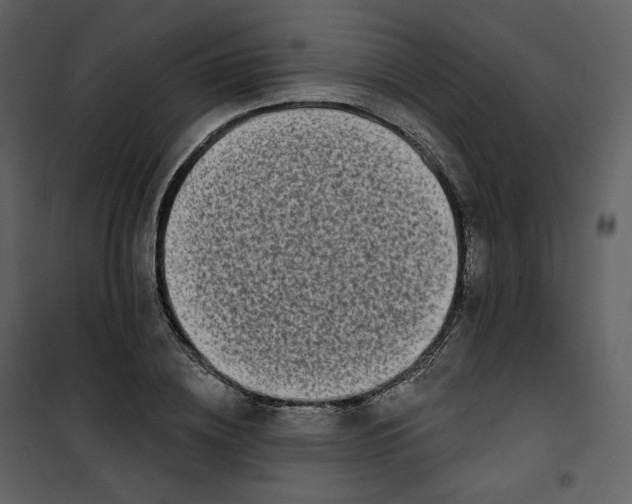 X0000100750836200807171410
