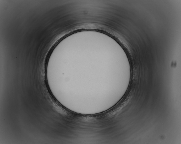 X0000100750837200807171410