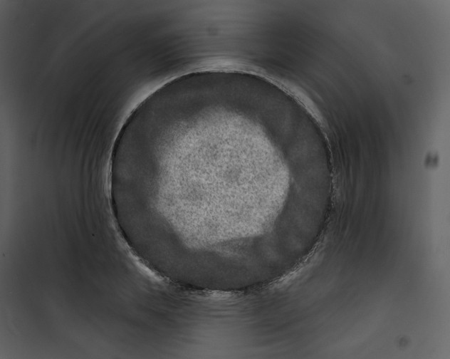 X0000100750839200807171410