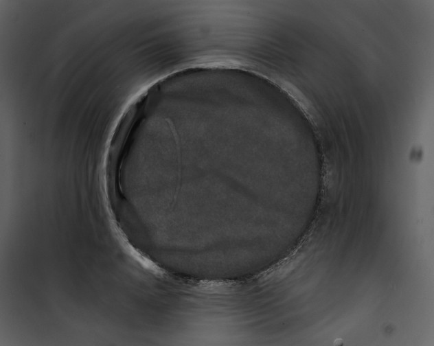 X0000100750840200807171410