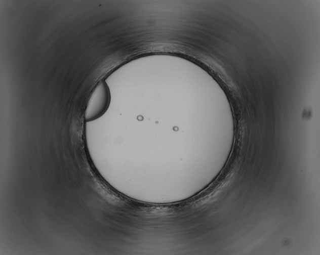 X0000100750841200807171410