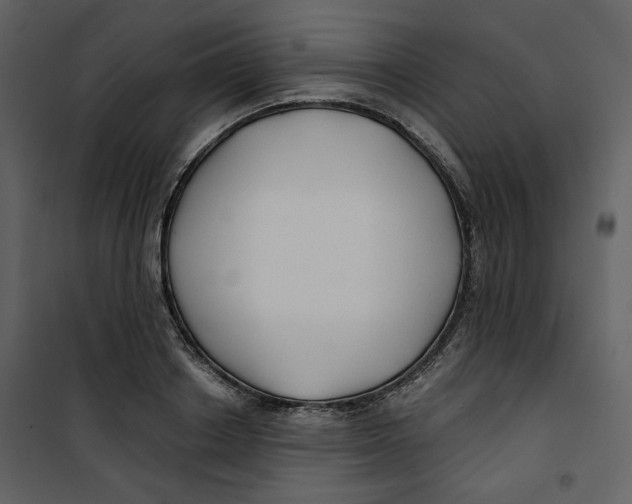 X0000100750842200807171410