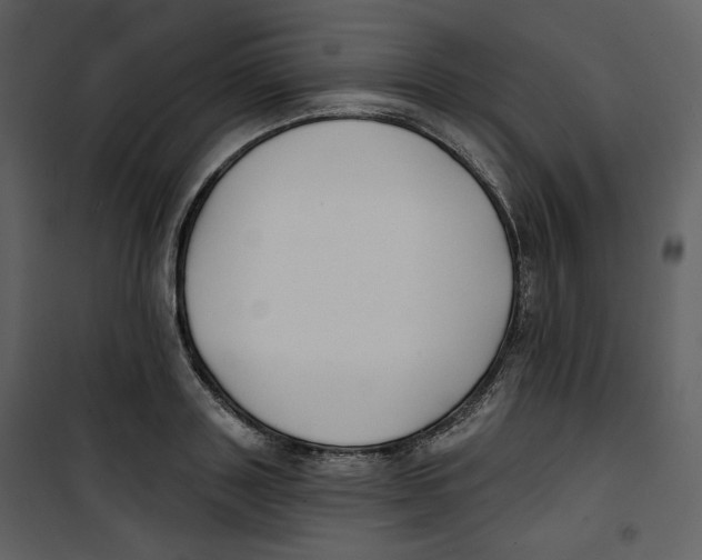 X0000100750843200807171410