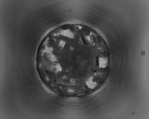 X0000100750845200807171410