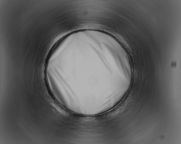 X0000100750846200807171410