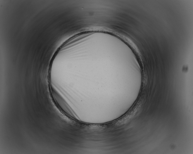X0000100750847200807171410