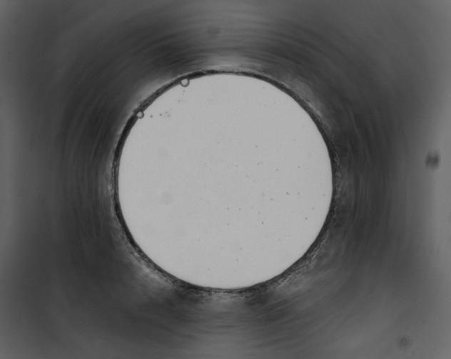 X0000100750848200807171410
