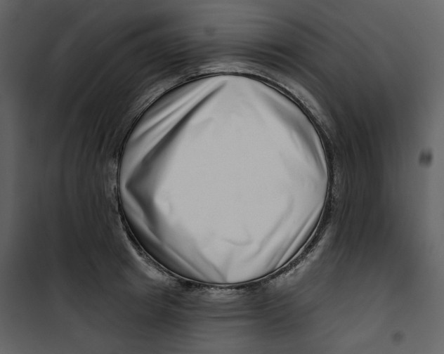 X0000100750849200807171410