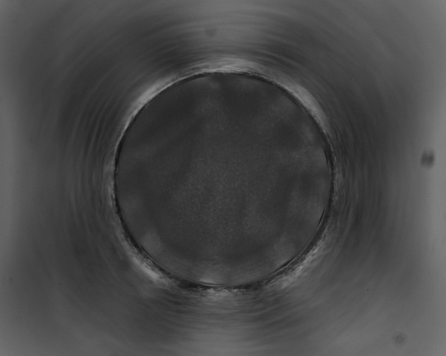 X0000100750850200807171410