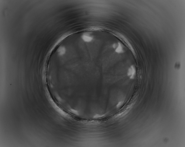 X0000100750851200807171410