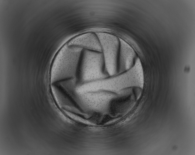 X0000100750852200807171410