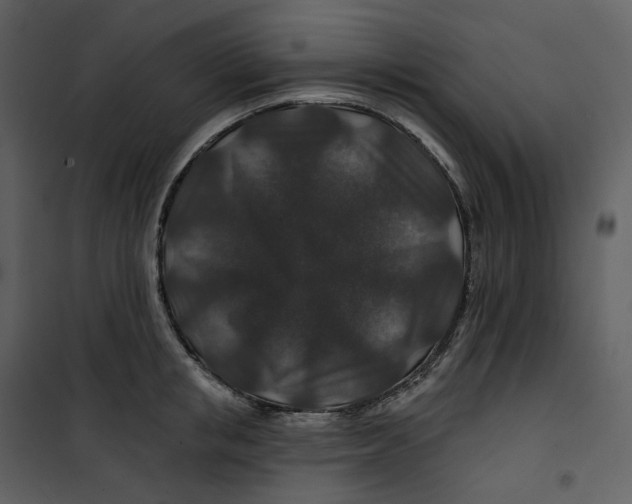 X0000100750853200807171410