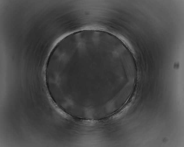 X0000100750854200807171410