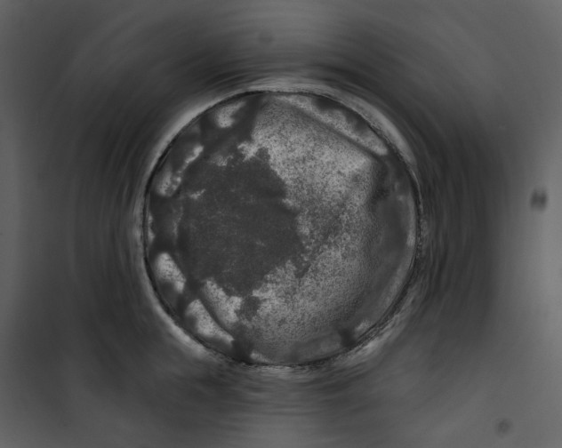 X0000100750855200807171410