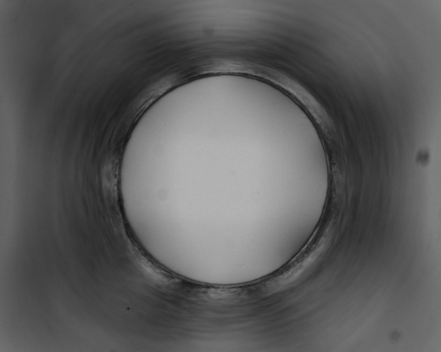 X0000100750857200807171410