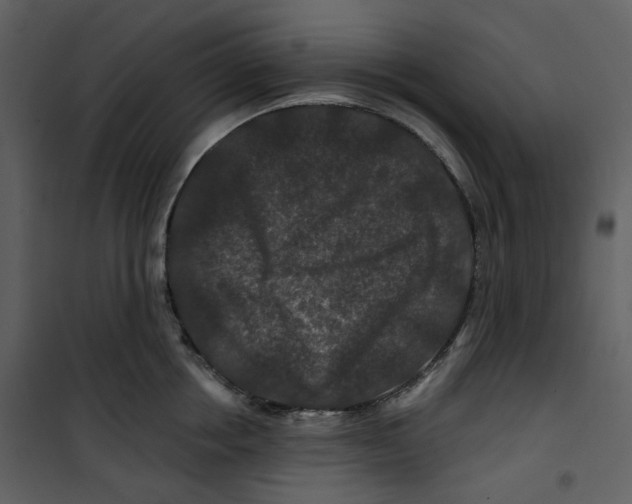 X0000100750858200807171410