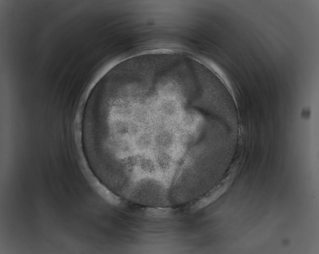 X0000100750859200807171410