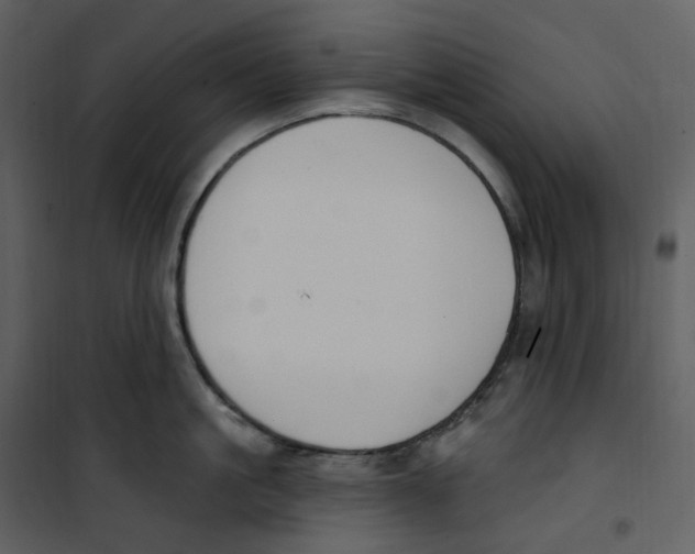 X0000100750861200807171410