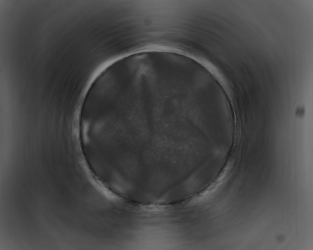 X0000100750862200807171410