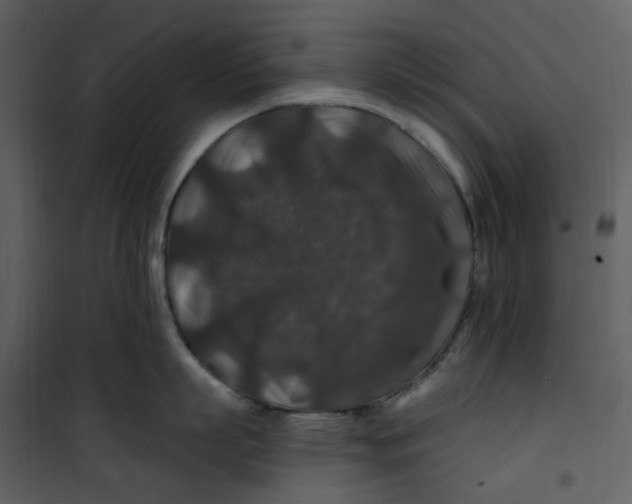 X0000100750863200807171410