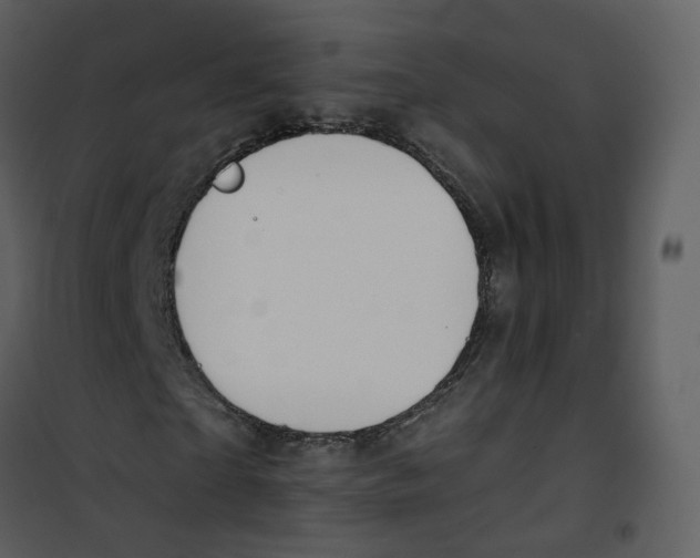 X0000100750865200807171409