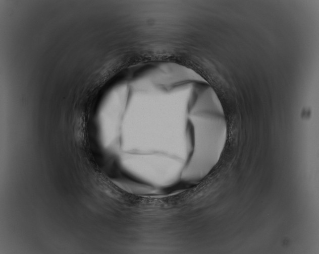 X0000100750866200807171409