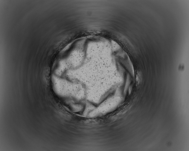 X0000100750867200807171409