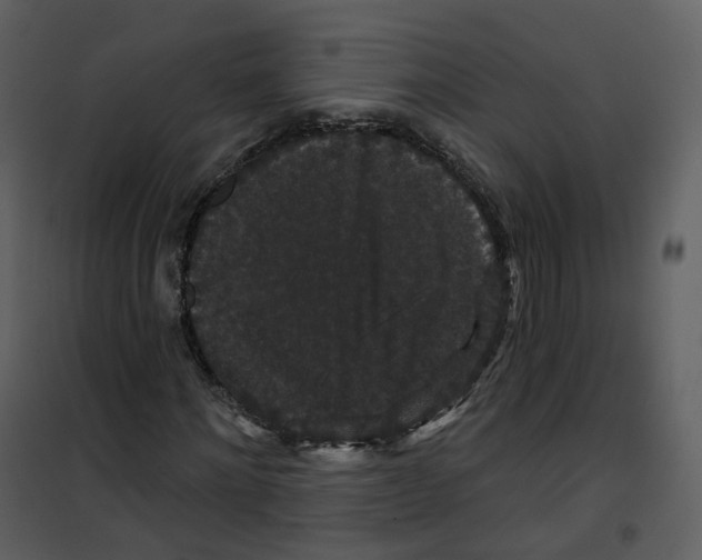 X0000100750868200807171409