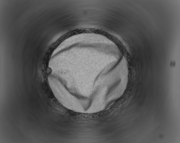 X0000100750871200807171409
