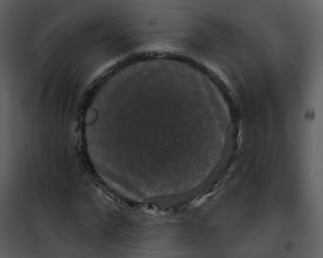 X0000100750872200807171409