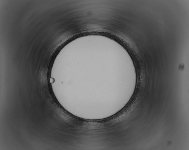 X0000100750873200807171409