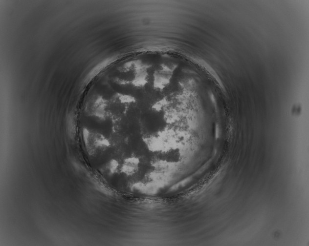 X0000100750874200807171409