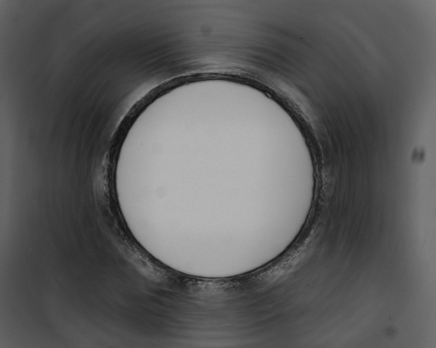 X0000100750875200807171409