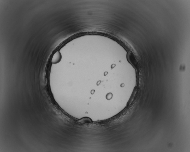 X0000100750876200807171409