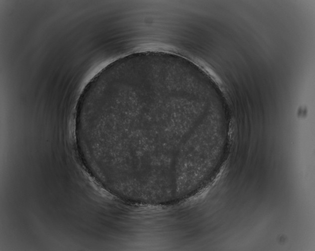 X0000100750877200807171409