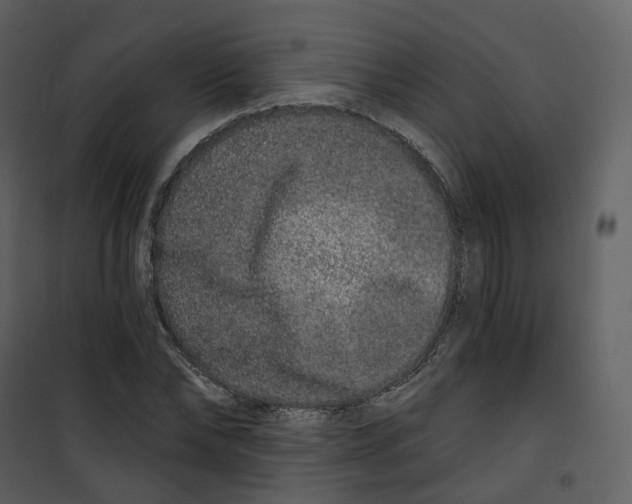 X0000100750878200807171409