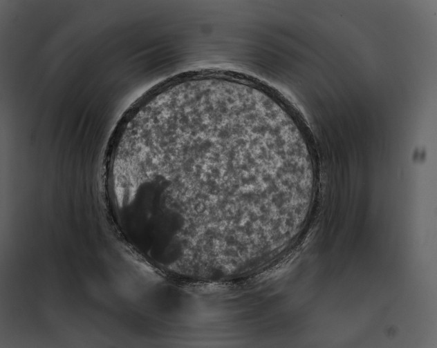 X0000100750879200807171409