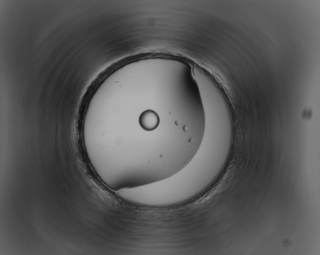 X0000100750880200807171409