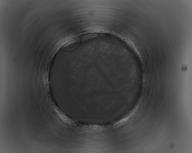X0000100750881200807171409