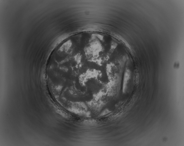 X0000100750882200807171409