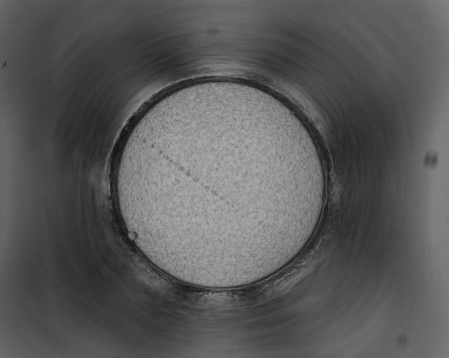 X0000100750883200807171409