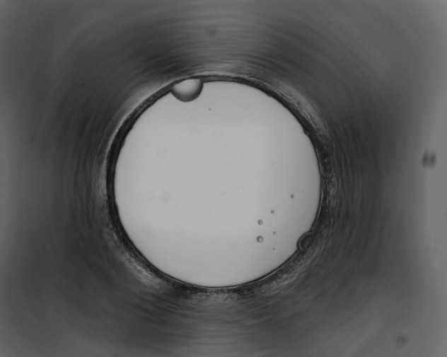 X0000100750884200807171409