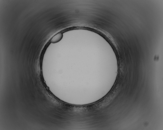 X0000100750887200807171409